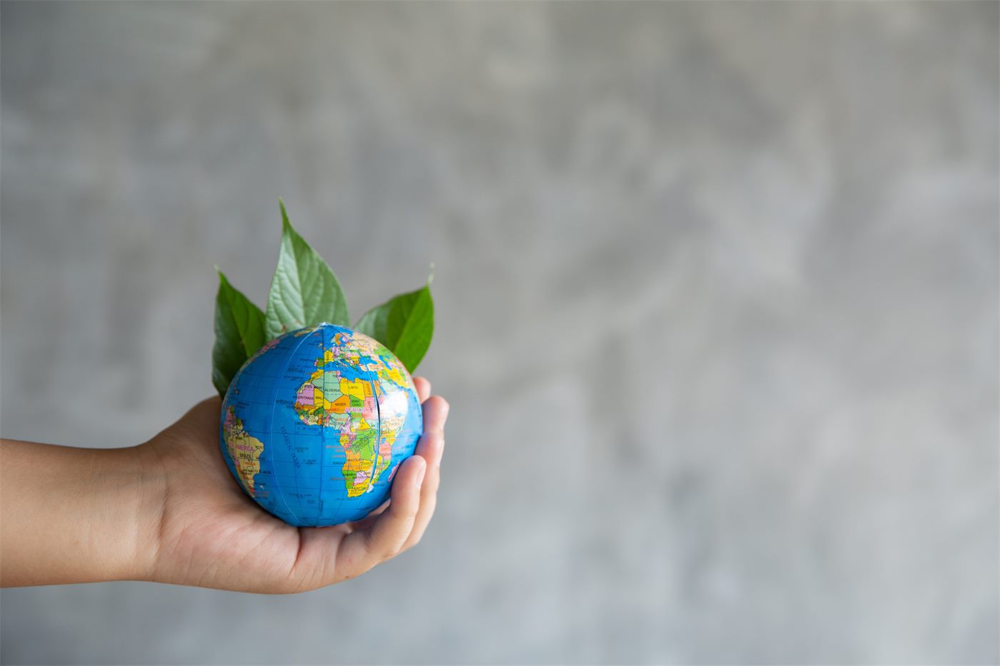 Mano que sostiene un pequeño globo terráqueo con hojas verdes
